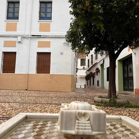 Casa Conchi شقة قرطبة